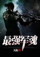 最强军魂系统