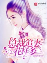 总裁追妻全文免费阅读