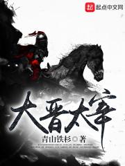 太宰大监是日本古代什么职务