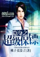隐身保镖在都市