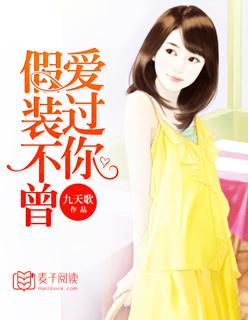 假装不曾爱过你 林浅