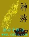 神游网络