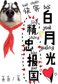 白月光精忠报国快穿全文免费
