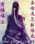 圣母是如何炼成的停更