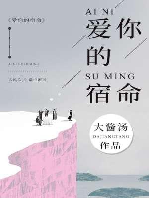 爱你的宿命韩语原唱