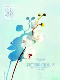 爱你是最好的时光故事梗概