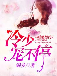 冷婚暖爱傲娇总裁宠上瘾.免费阅读