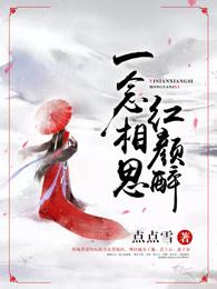 一念相思dj