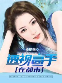 透视高手