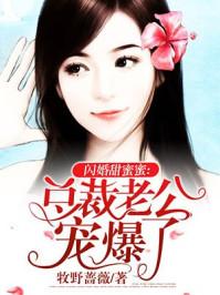 闪婚厚爱总裁老公宠上天