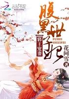 腹黑世子妃日常简介