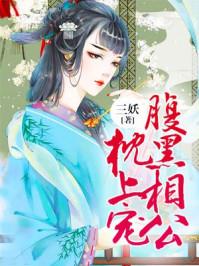 腹黑相公枕上宠小甜妻