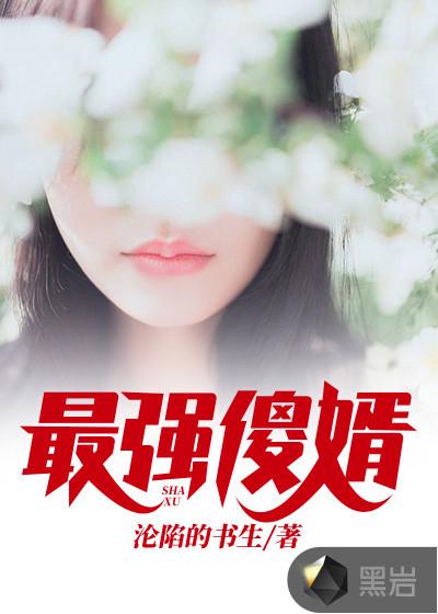 最强傻婿连载书