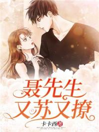 聂先生攻婚日常全文免费阅读