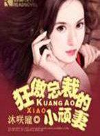 狂傲总裁的小顽妻 沐咲瞳