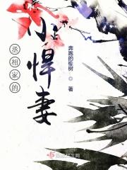 丞相家的小娇妻 作者风渡洛阳