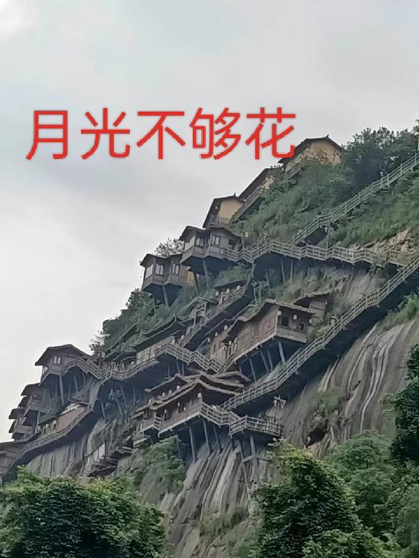 华夏星域soDU