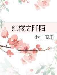红楼之txt