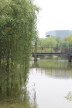 长江黄河入海口