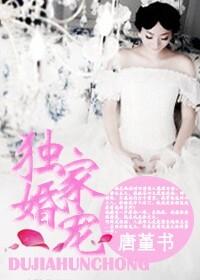 独家婚宠琛少的娇妻