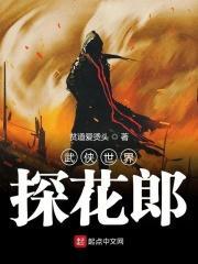 武侠世界探花郎TXT