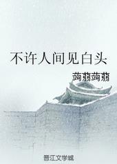 不许人间见白头的下一句是什么