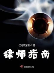 律师执业指引