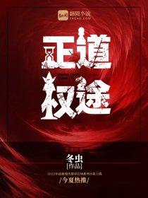 正道权途全文阅读