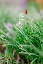 抱膝哭表情包