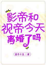 影帝视帝今天离婚了吗 作者孟冬十五