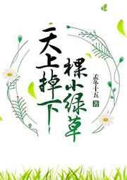 浙江龙泉作文