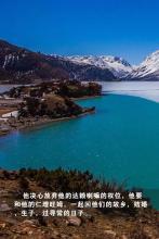 残荷听雪图片
