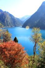 陈寒青简历