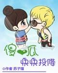 傻瓜傻瓜