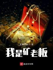 我是矿老板游戏