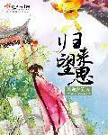 归去来书望情人的结局