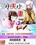 小夫人全文免费