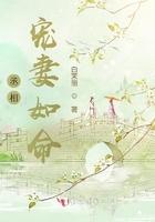 丞相宠妻无度