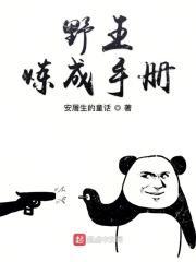 野王速成攻略