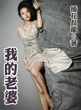 我的老婆是空姐