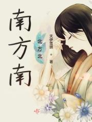 南方南北方北歌曲