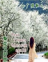 梨花又开放 歌词