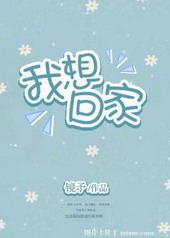 我想回家翻译