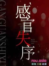感官失序讲了什么