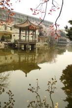 崔剑雄简历