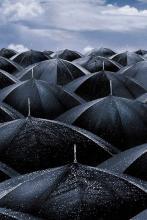 白雨涵新书