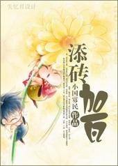 添砖加瓦类似的成语