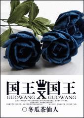 国王x王子