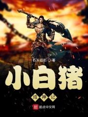 小猪白剑