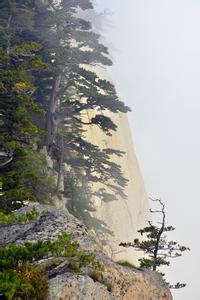东流水 诗句